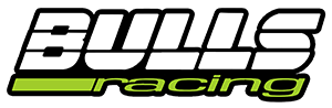 Society of Automotive Engineers (SAE) / Bulls Racing Logo